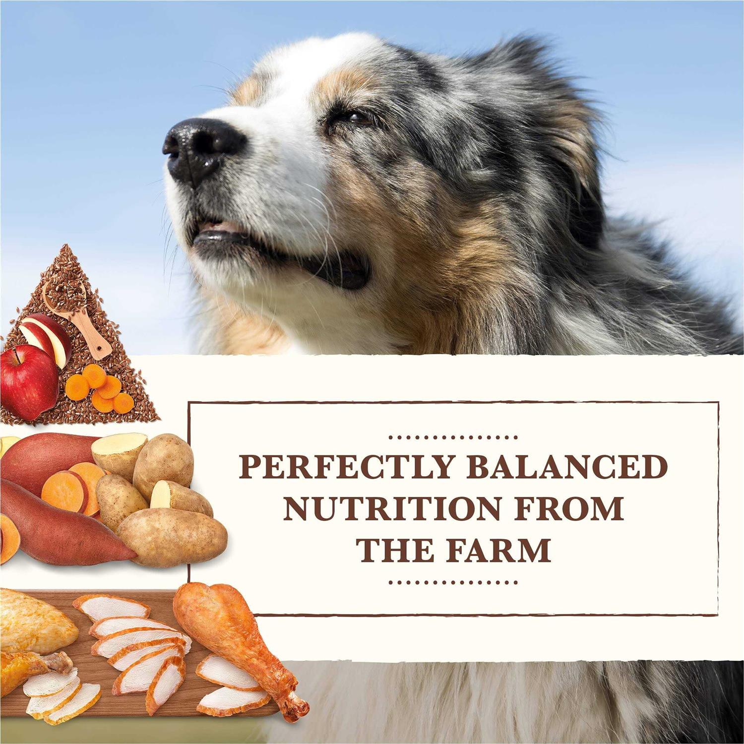 Alternative view of Whole Earth Farms Grain Free Chicken Turkey Recipe Dry Dog Food