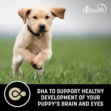 Alternative view of 4health Grain Free Puppy Dog Food
