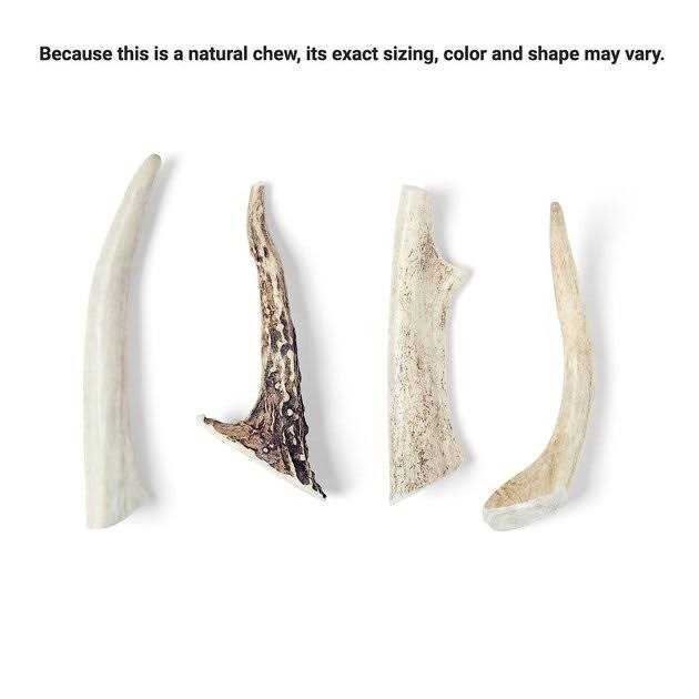 Alternative view of Bones & Chews Made in USA Deer Antler Dog Chew