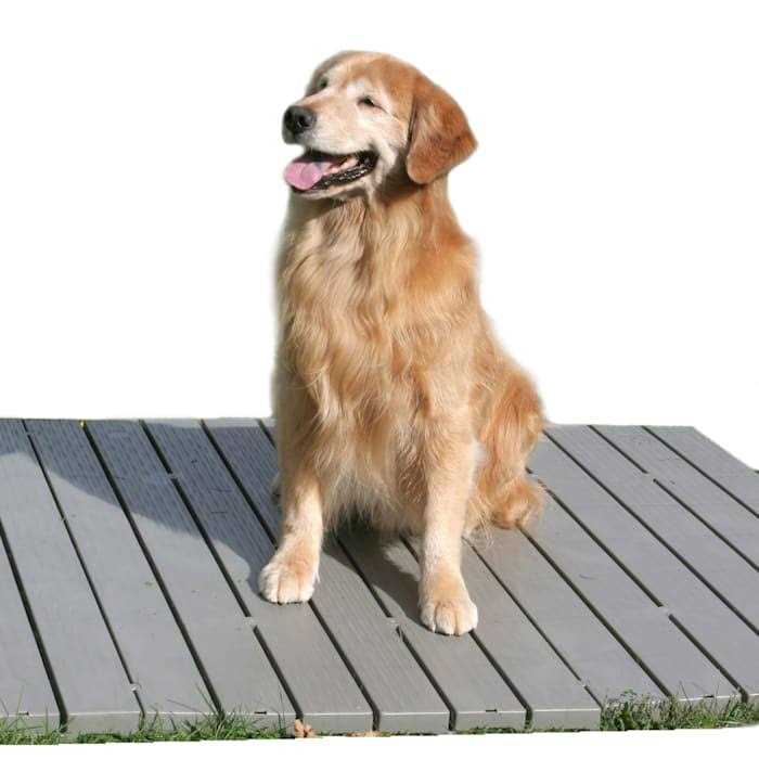 The Kennel Deck