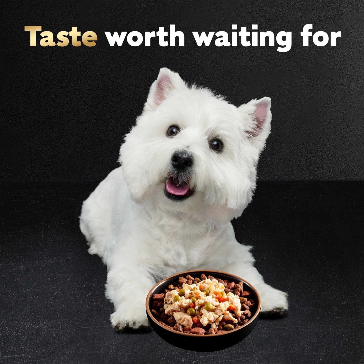 Alternative view of Cesar Simply Crafted Chicken Wet Dog Food