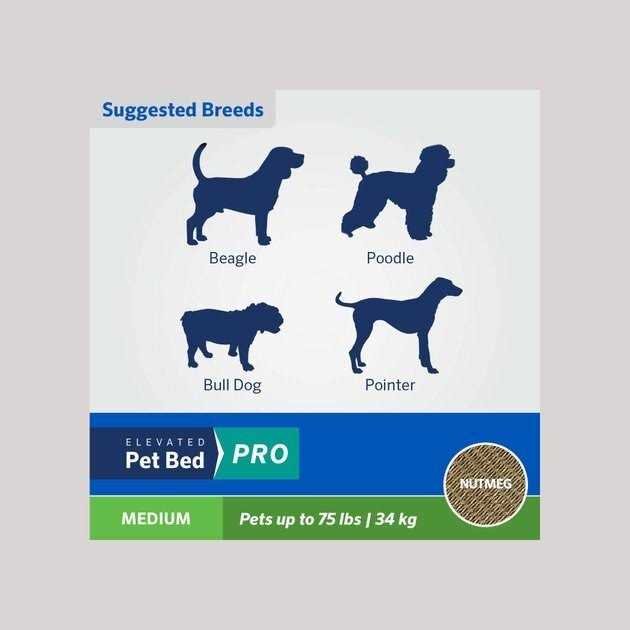 Alternative view of Coolaroo Cooling Elevated Pet Bed Pro