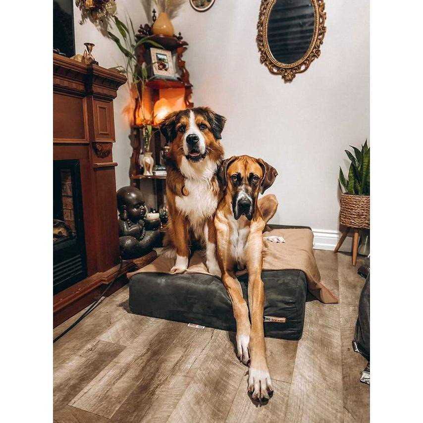Alternative view of Big Barker Headrest Pillow Top Orthopedic Dog Bed