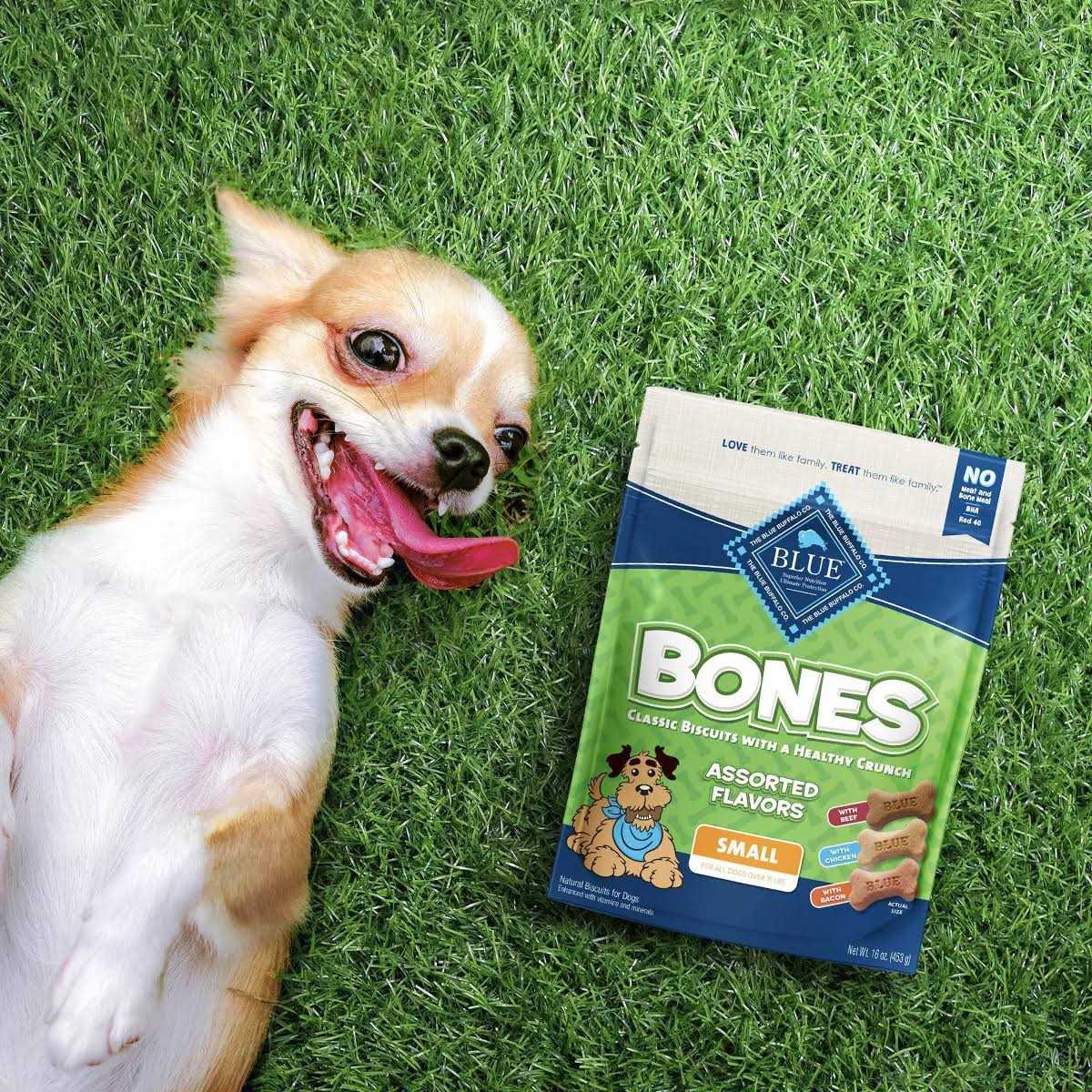 Alternative view of Blue Buffalo Bones Biscuits
