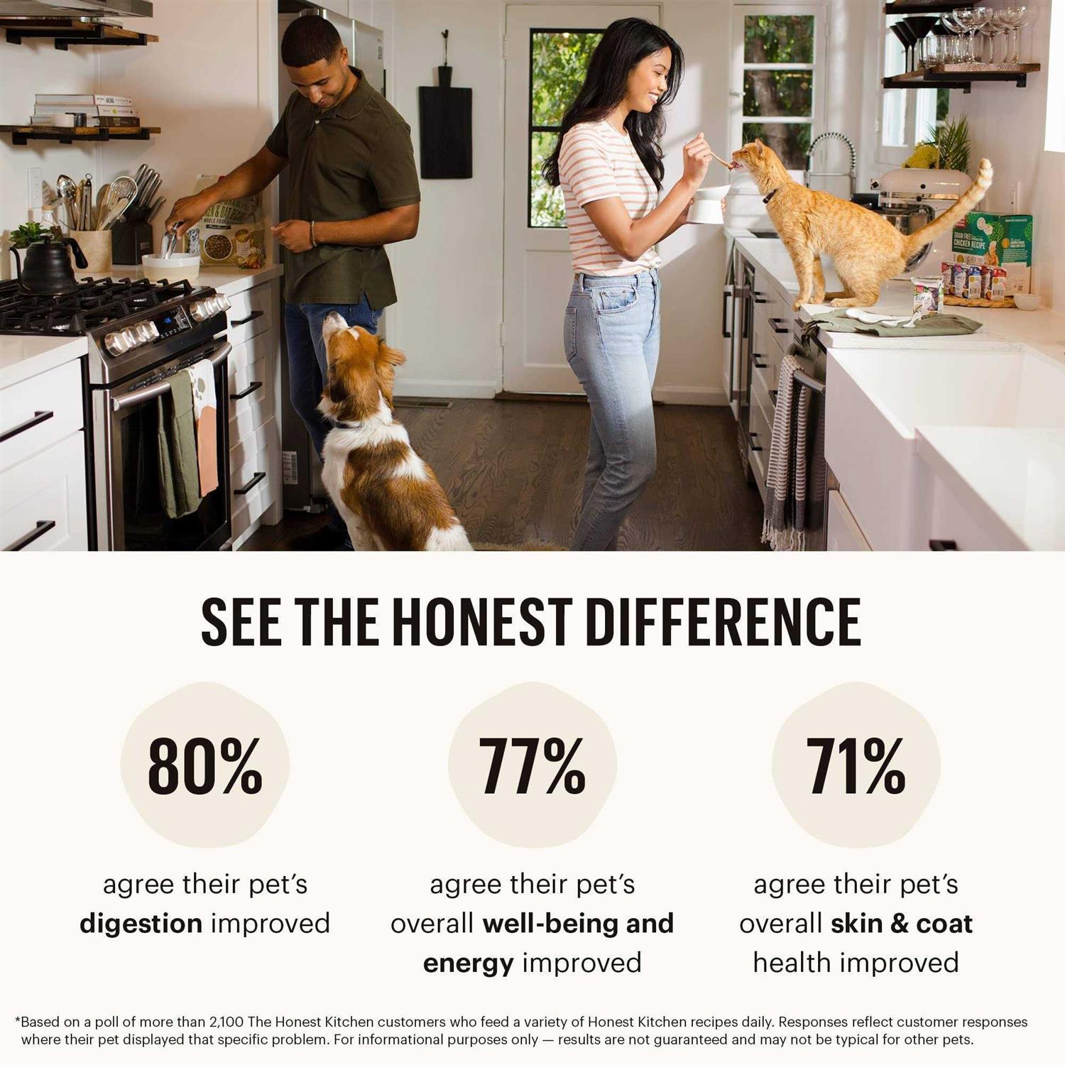 Alternative view of The Honest Kitchen Butcher Block Pate Dog Food 10.5 oz