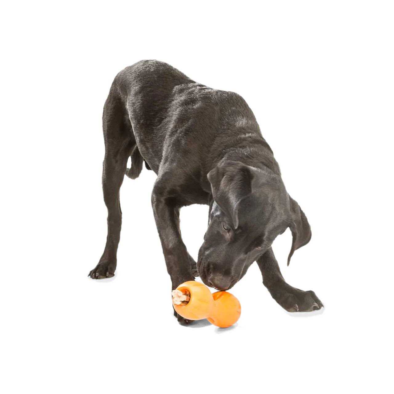 Alternative view of West Paw Qwizl Dog Toy