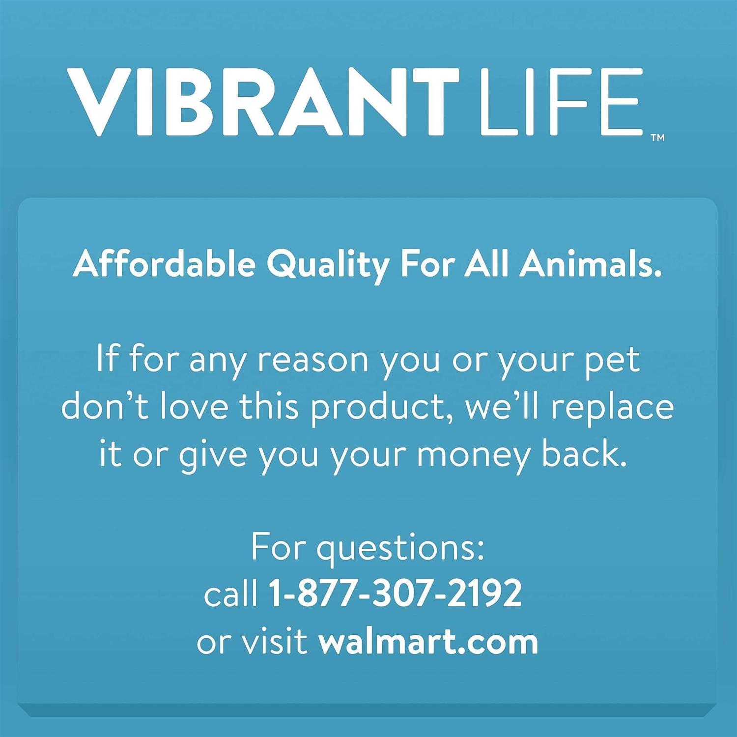 Alternative view of Vibrant Life Lounger Pet Bed