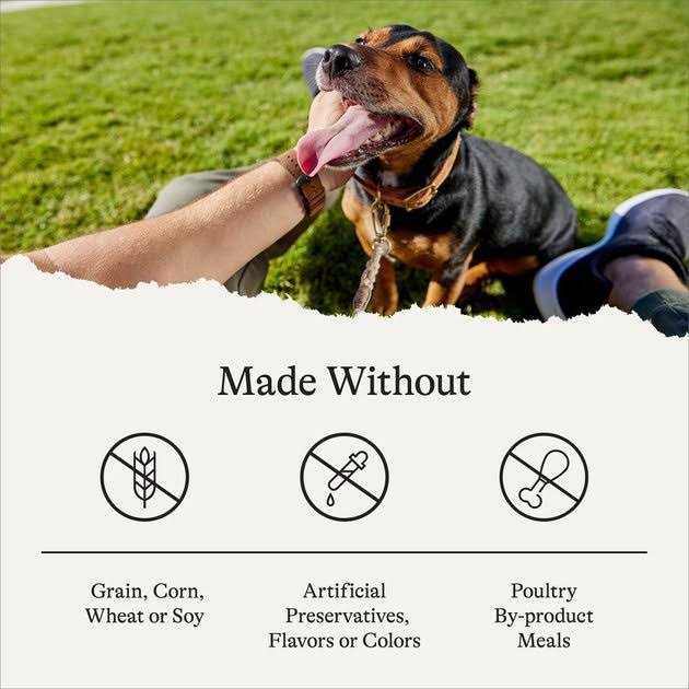 Alternative view of American Journey Limited Ingredient Grain-Free u0026 Sweet Potato Recipe Dry Dog Food