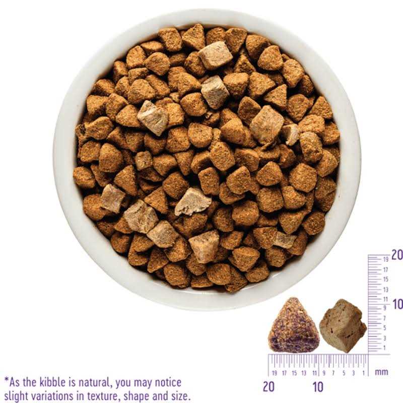 Alternative view of Wellness Core RawRev Natural Grain Free Wild Game Freeze Dried Dry Dog Food