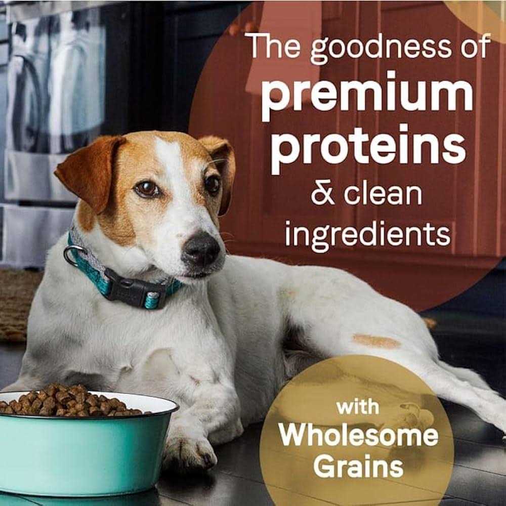Alternative view of Canidae Pure Grain Free Salmon & Sweet Potato Adult Dry Dog Food