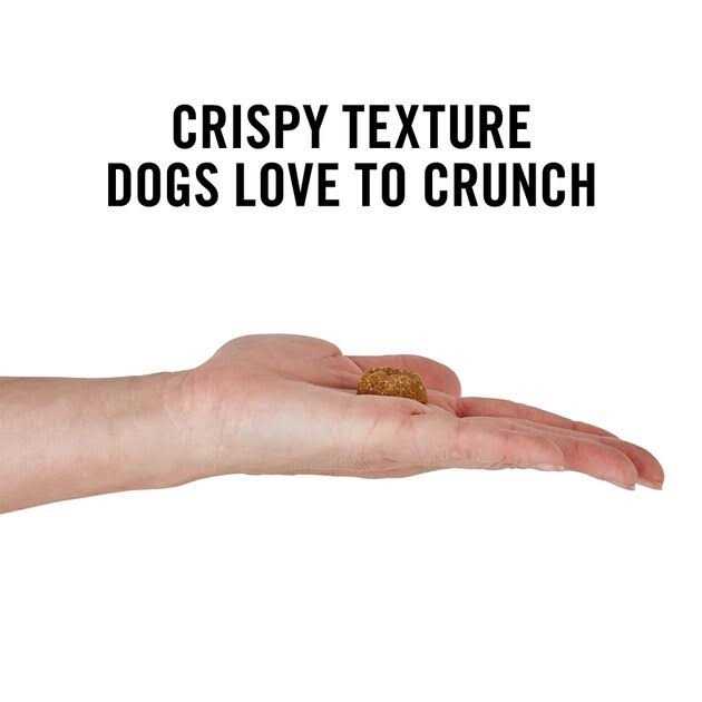 Alternative view of American Journey Peanut Butter Recipe Grain-Free Oven Baked Crunchy Biscuit Dog Treats
