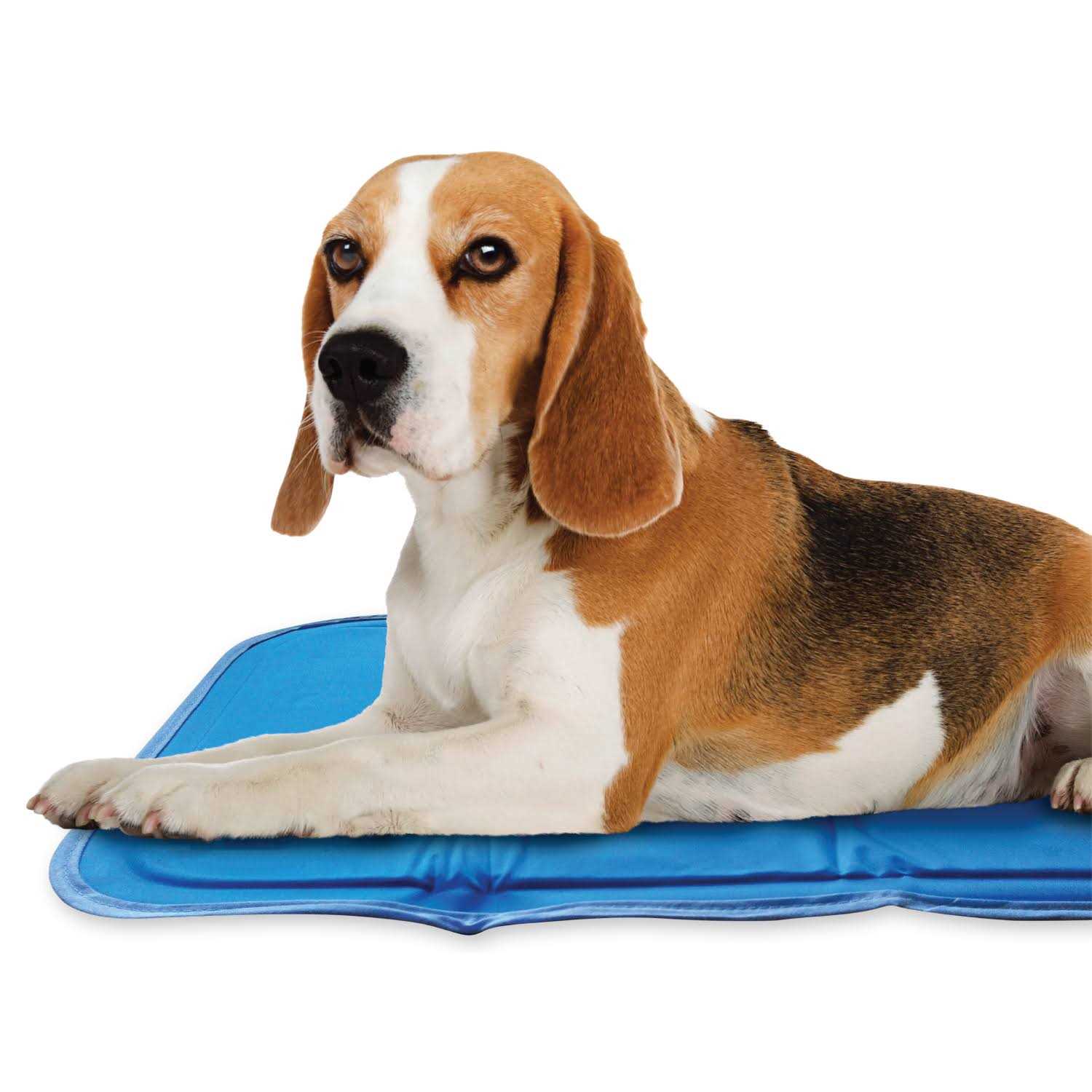 Alternative view of Cool Pet Pad The Green Pet Shop Sage Gray Self Cooling Pet Pad