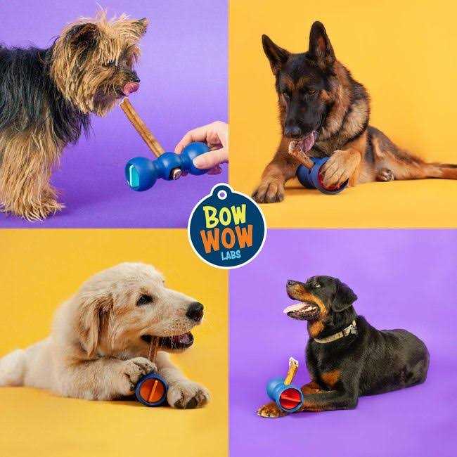 Alternative view of Bow Wow Labs Safe Fit Bully Sticks