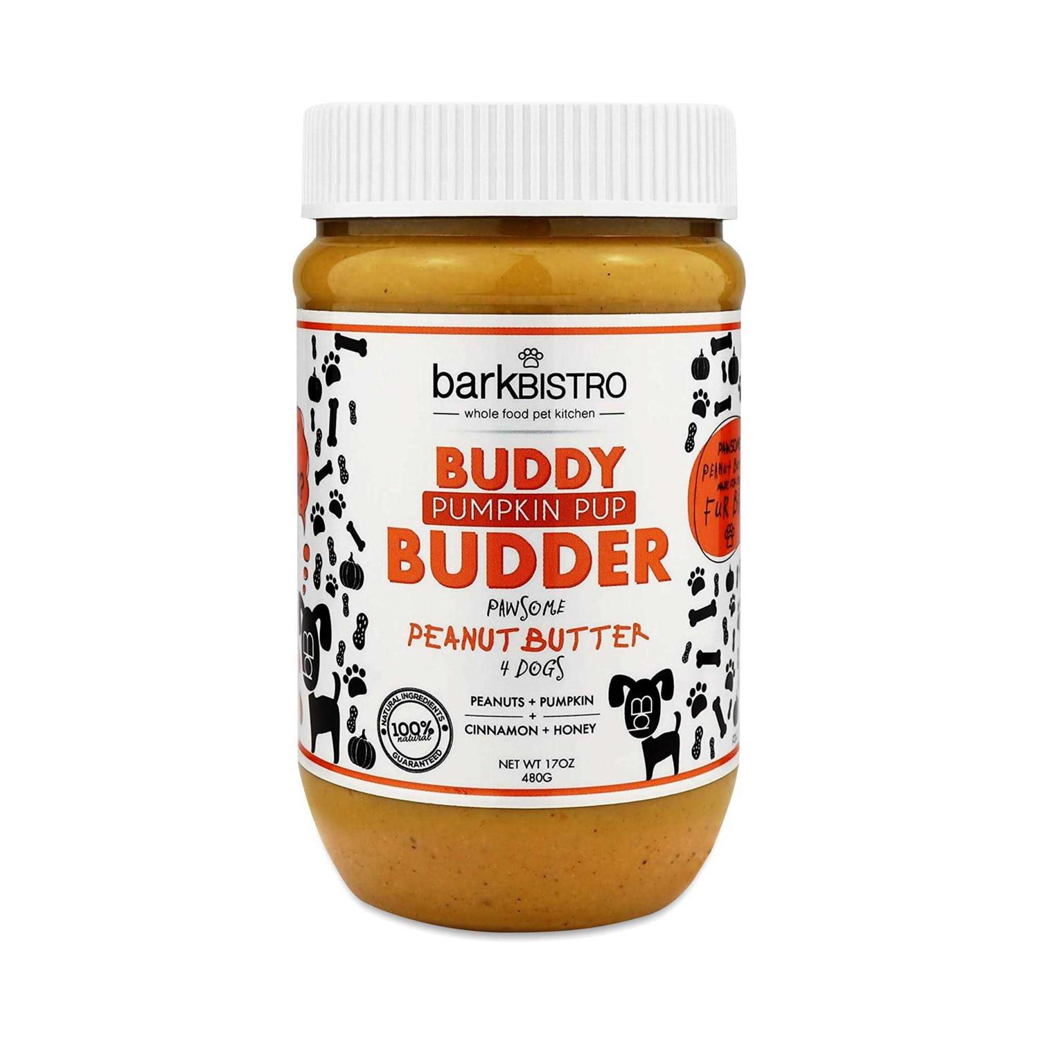 Alternative view of Bark Bistro Pumpkin Pup Buddy Budder