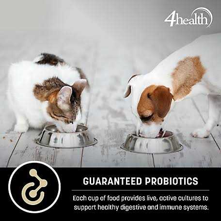 Alternative view of 4health Special Care Adult Sensitive Skin Formula Dry Dog Food
