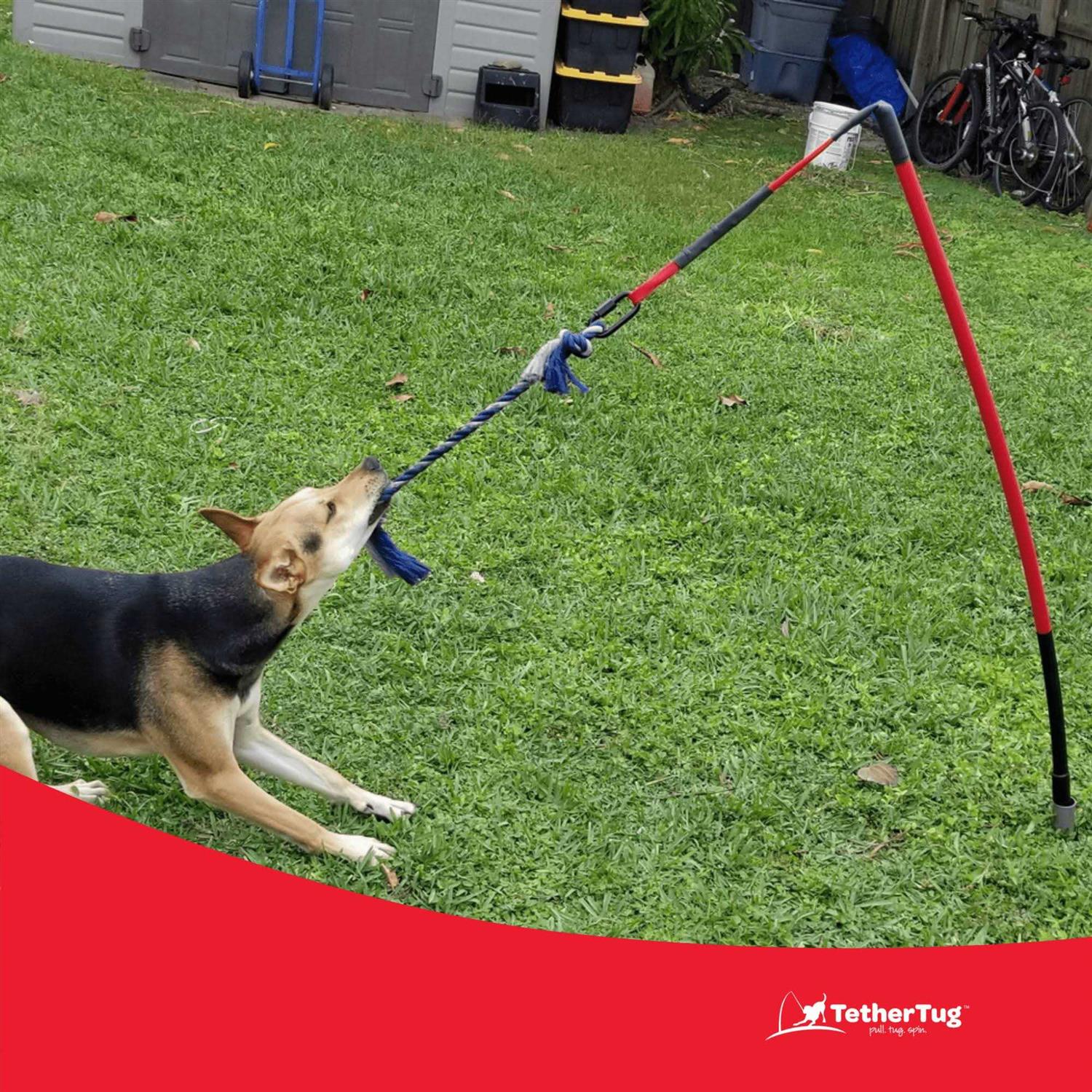 Alternative view of Tether Tug Dog Toy