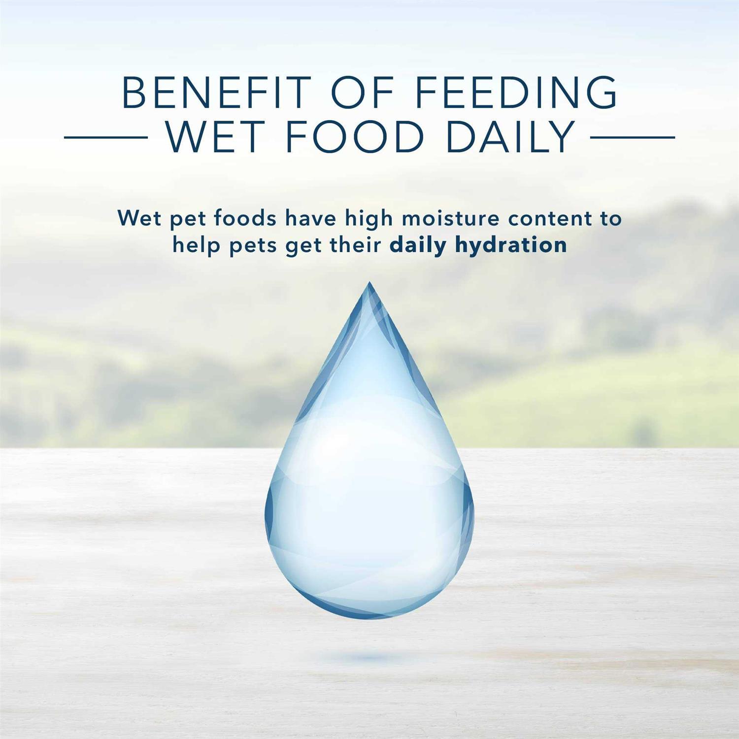 Alternative view of Blue Buffalo Homestyle Recipe Variety Pack Wet Dog Food