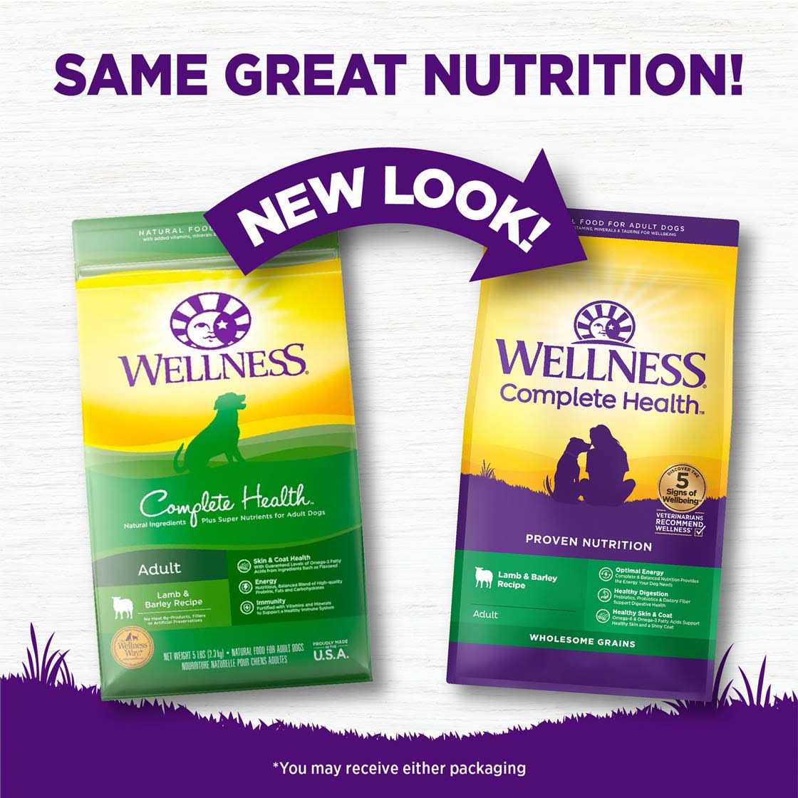 Alternative view of Wellness Complete Health Lamb & Barley Dry Dog Food
