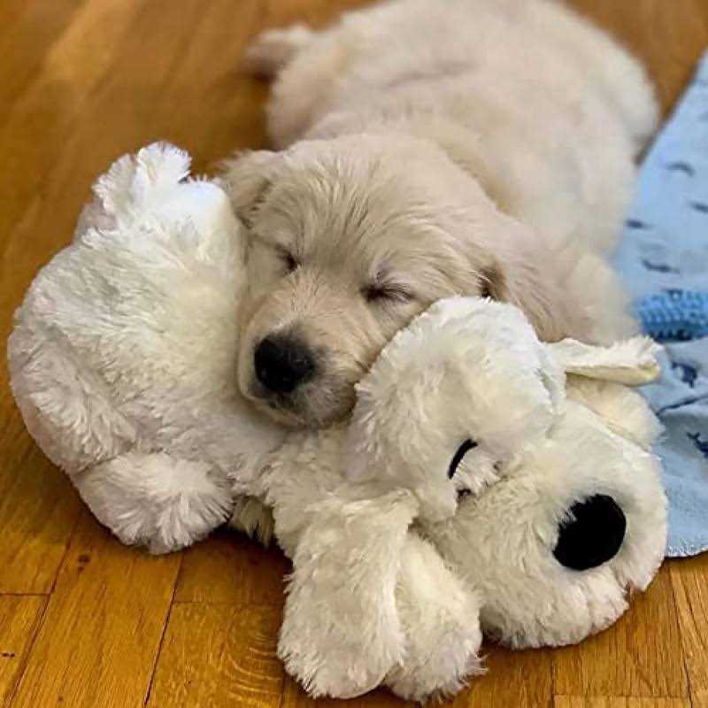 Alternative view of Barkbox 2 in 1 Interactive Plush Dog and Dog Small Dogs