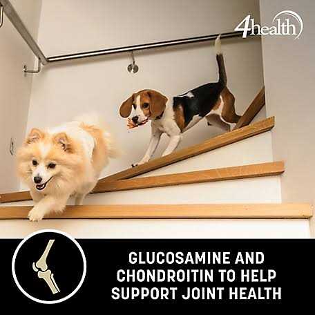 Alternative view of 4health with Wholesome Grains Small Bites Adult Chicken Formula Dry Dog Food