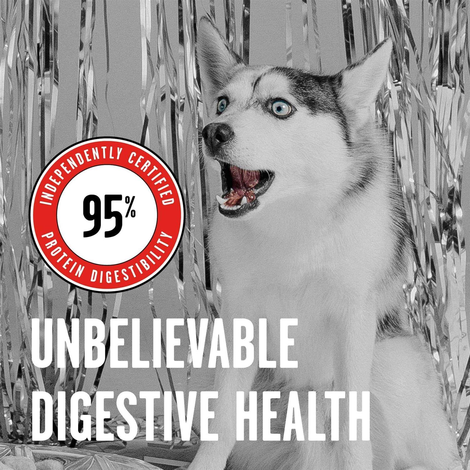 Alternative view of Bixbi Dog Food Rawbble Freeze Dried Beef