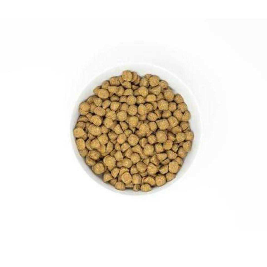 Alternative view of Stella & Chewy's Raw Coated Kibble Recipe with Wholesome Grains Dog