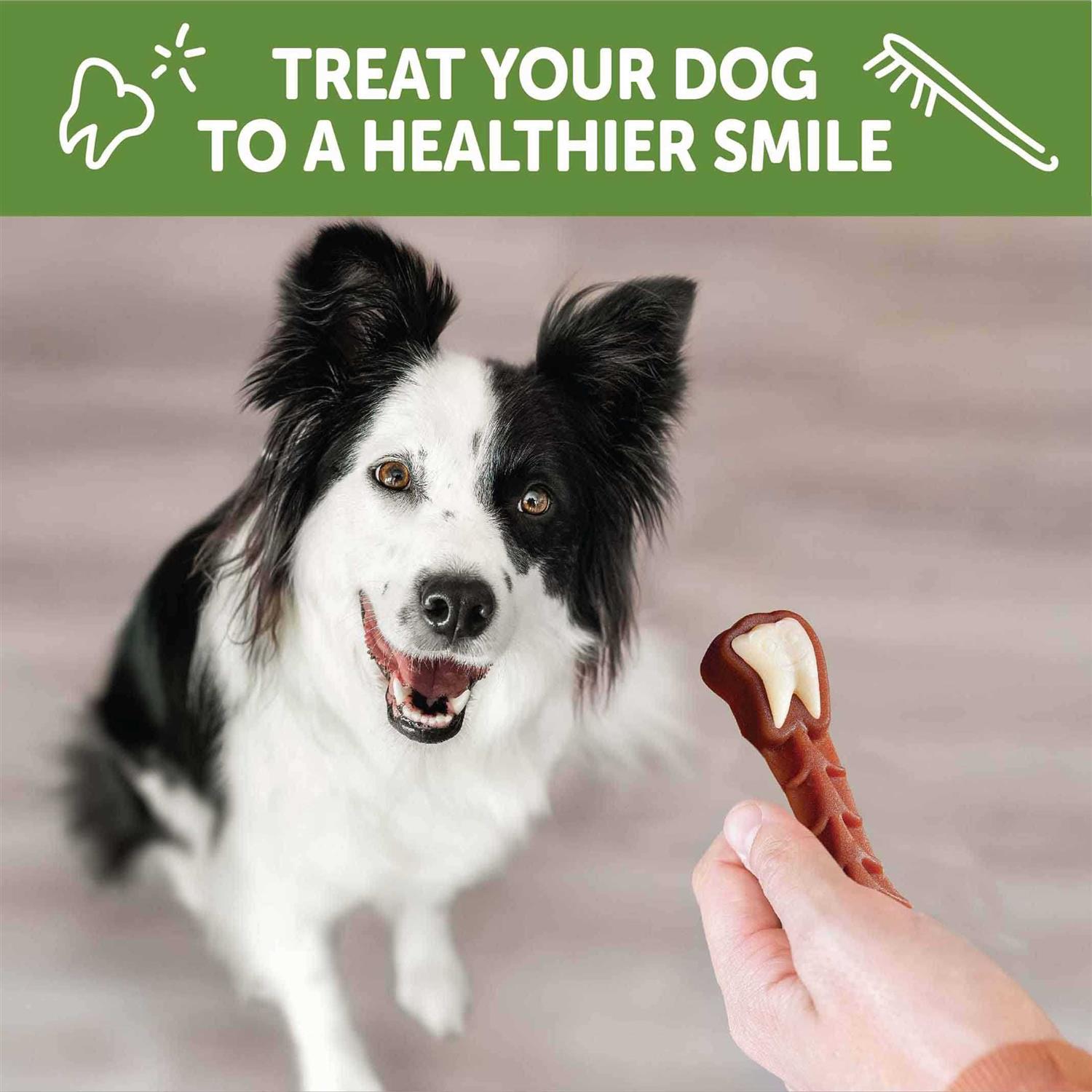 Alternative view of Whimzees Brushzees Dental Treats