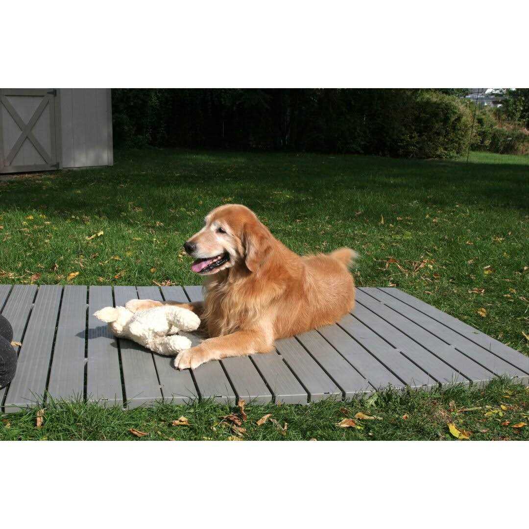 The Kennel Deck (Set of 3) The Kennel Deck