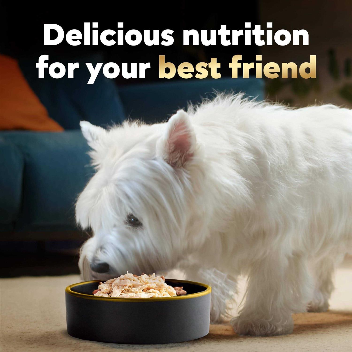 Alternative view of Cesar Wholesome Bowls Wet Dog Food