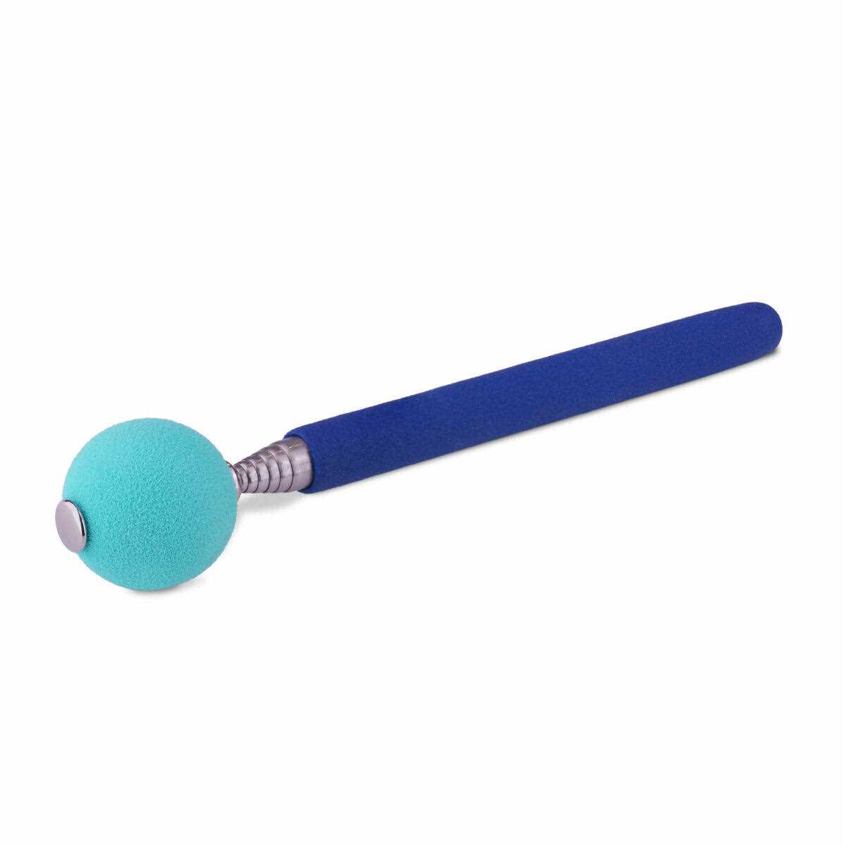 Coachi Dog Training Target Stick