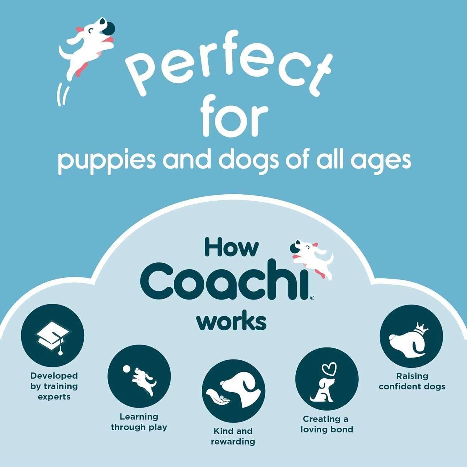 Alternative view of Coachi Dog Training Target Stick