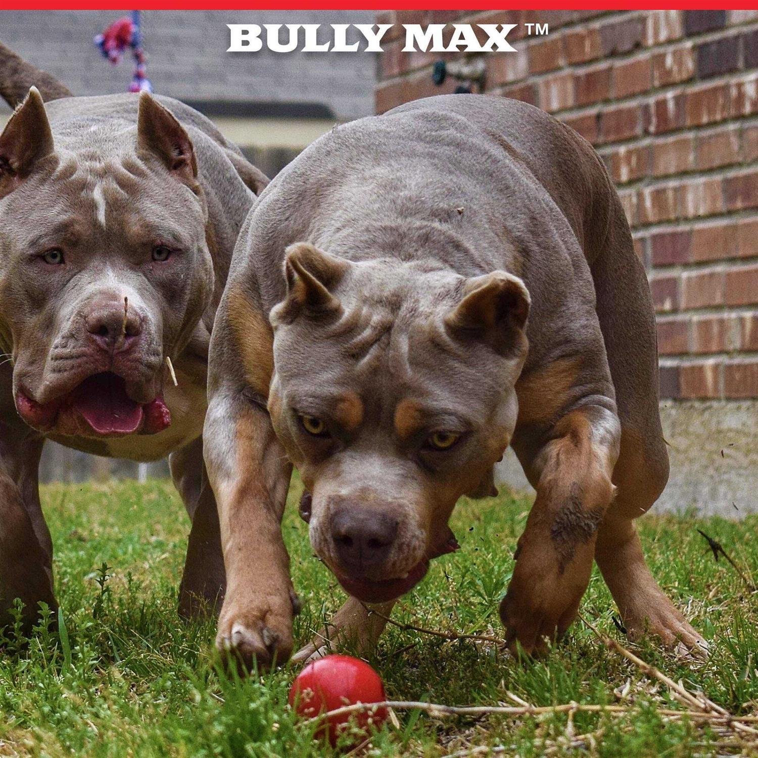Alternative view of Bully Max Indestructible Dog Ball Toy for Aggressive Chewers Dog Chew Toy for Puppy