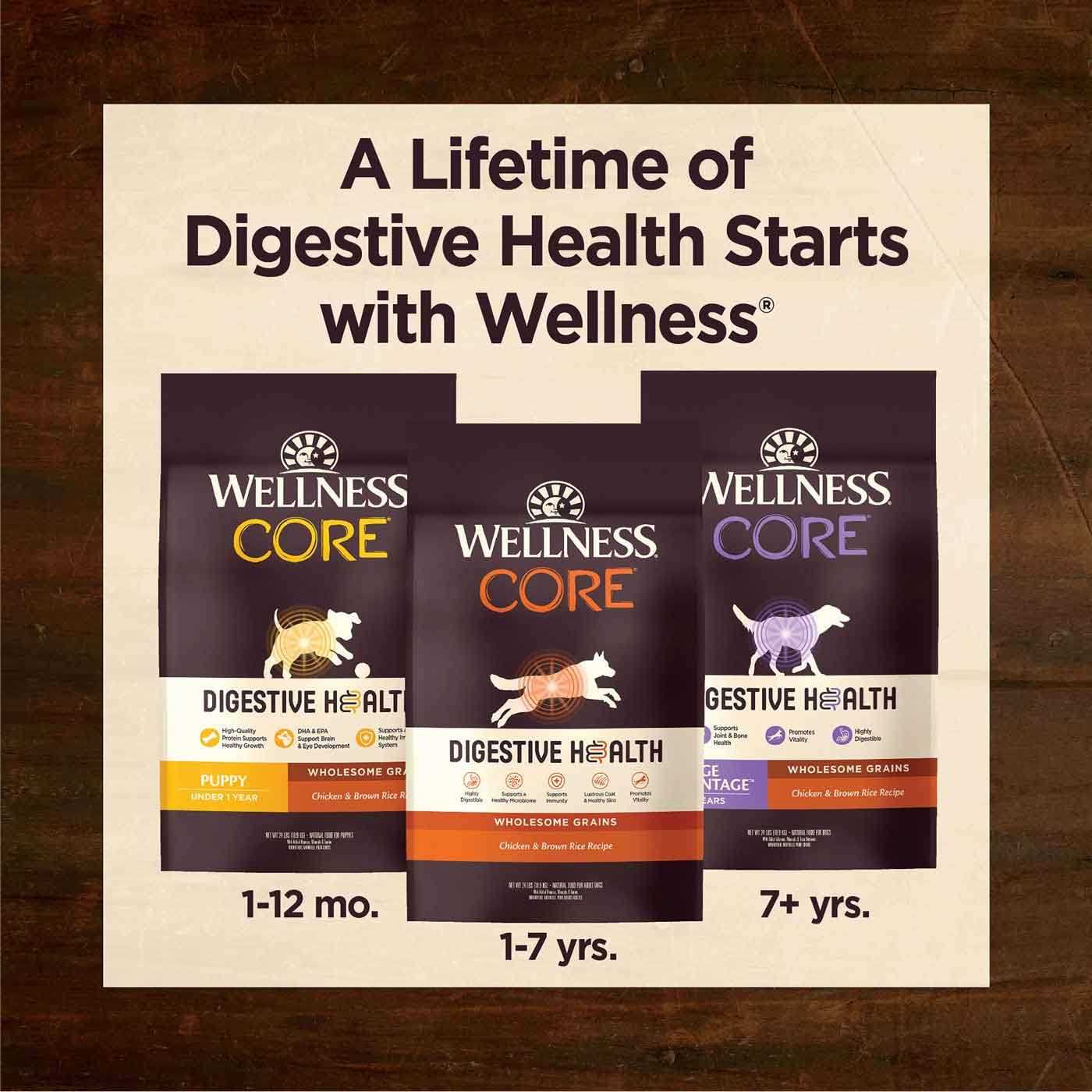 Alternative view of Wellness Core Digestive Health Senior Dry Dog Food
