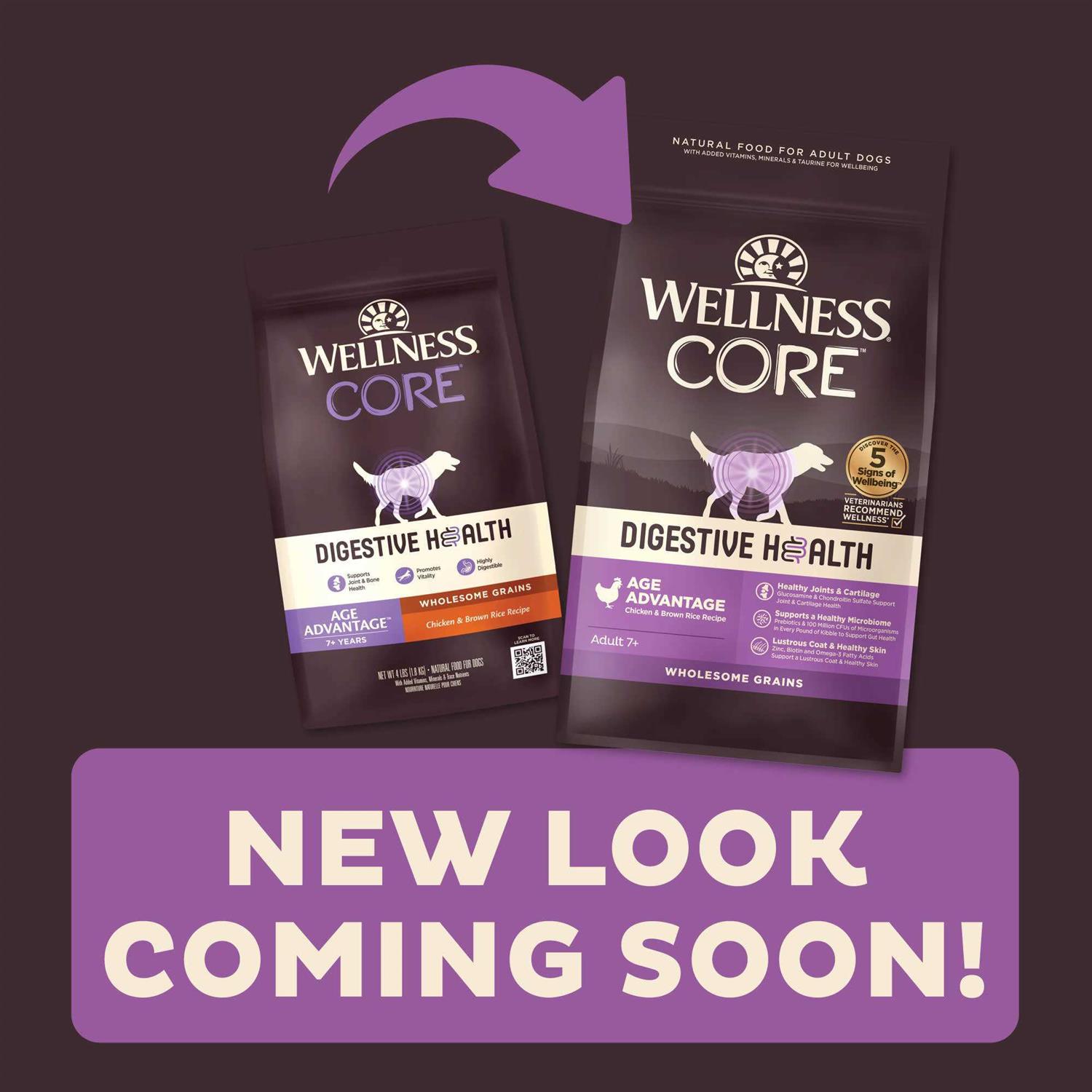 Alternative view of Wellness Core Digestive Health Senior Dry Dog Food