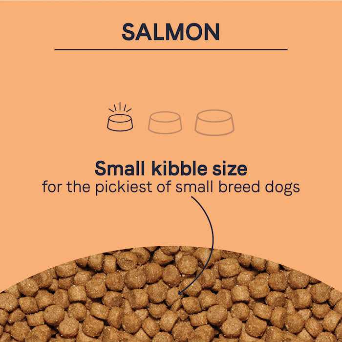 Alternative view of Canidae Pure Petite Small Breed Salmon Dry Dog Food