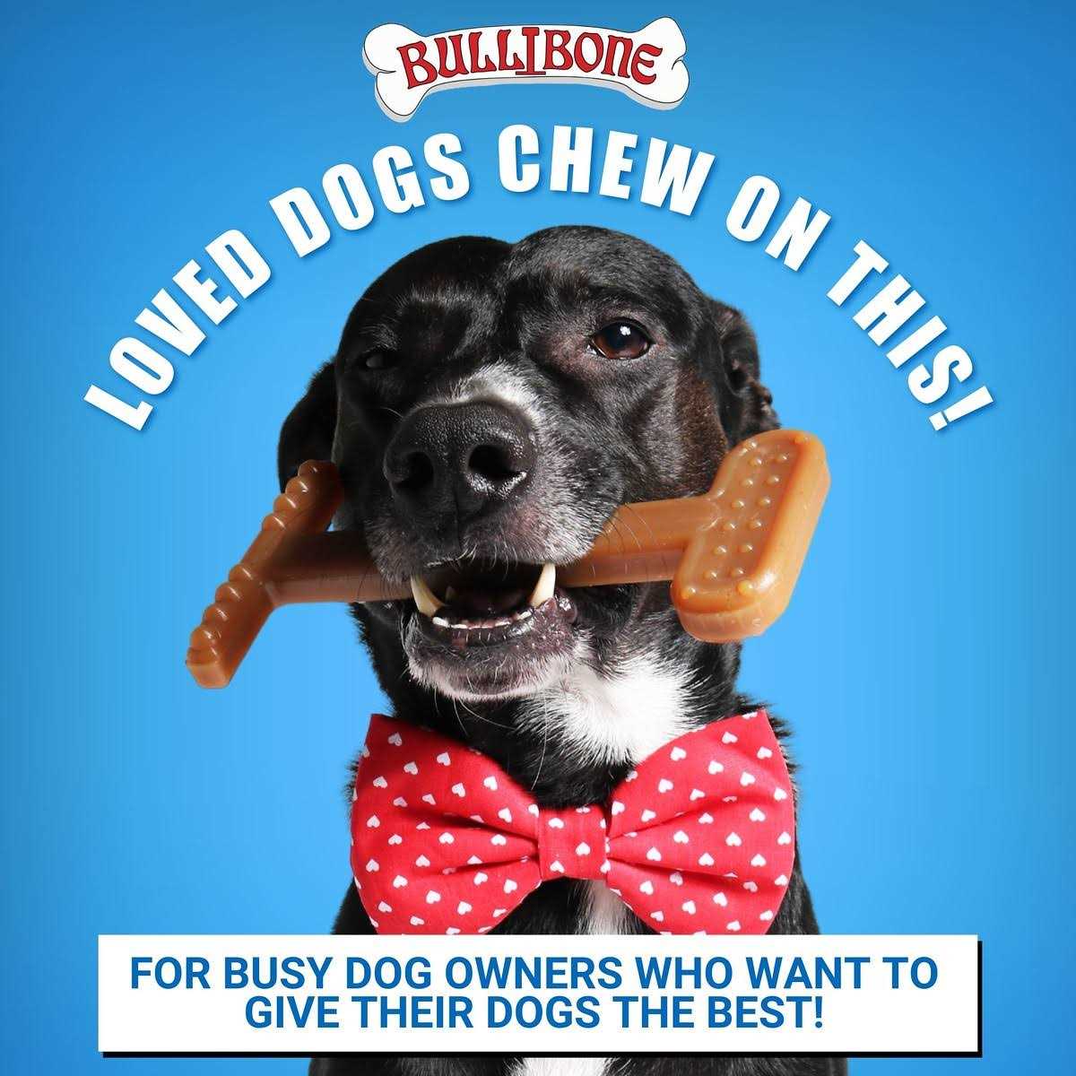 Alternative view of Bullibone Nylon Dog Chew Toy Nylon Bone Improves Dental Hygiene Easy to Grip Bottom and Permeated with Flavor