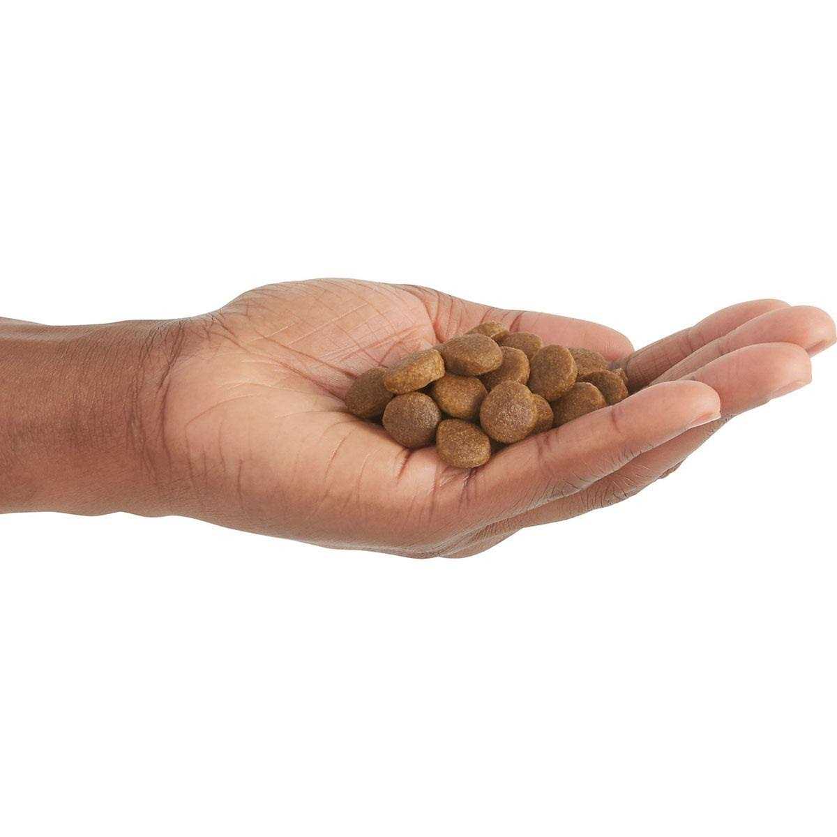 Alternative view of Acana Free-Run Poultry Dry Dog Food