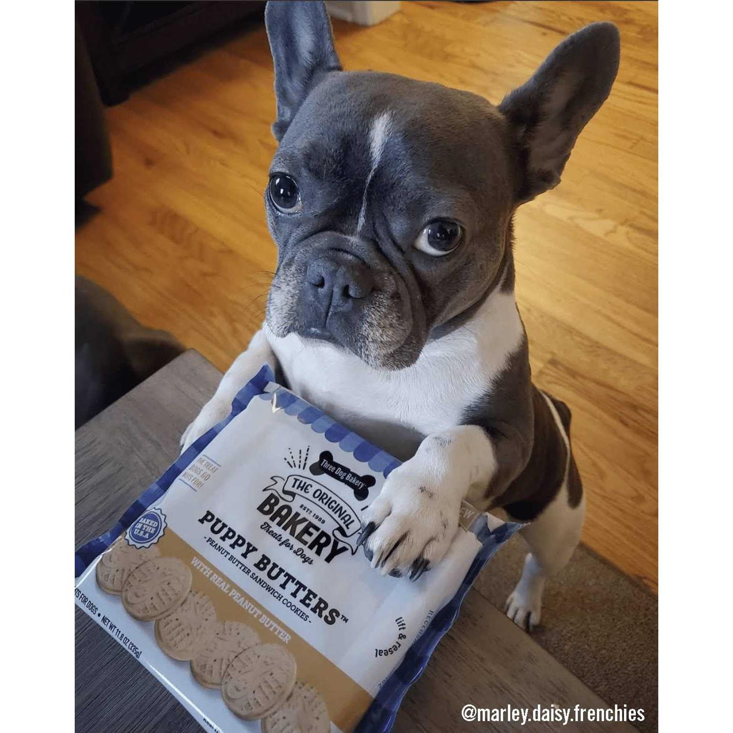 Alternative view of Three Dog Bakery Puppy Butters Peanut Butter Cookies Dogs Treats
