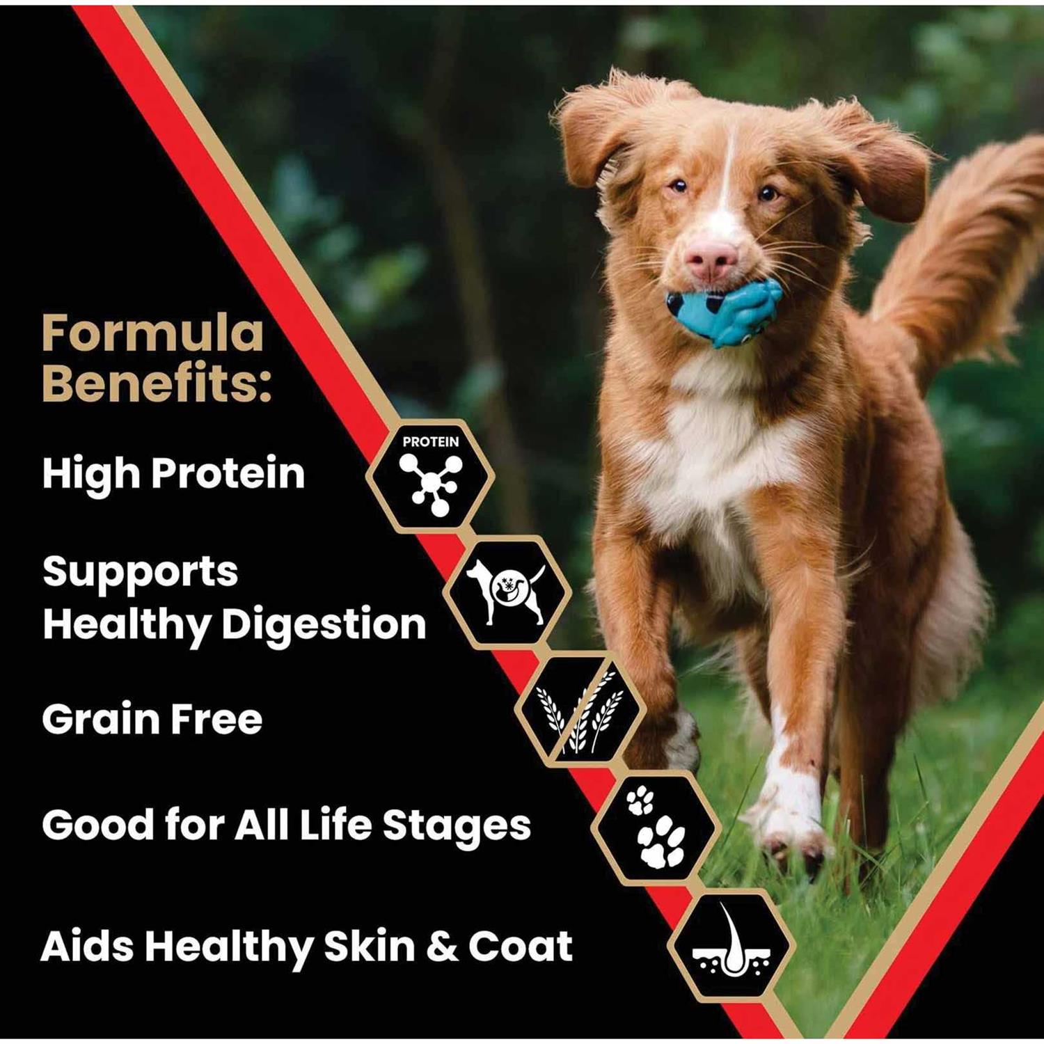 Alternative view of Victor Dog Food Grain Free Active Dog & Puppy