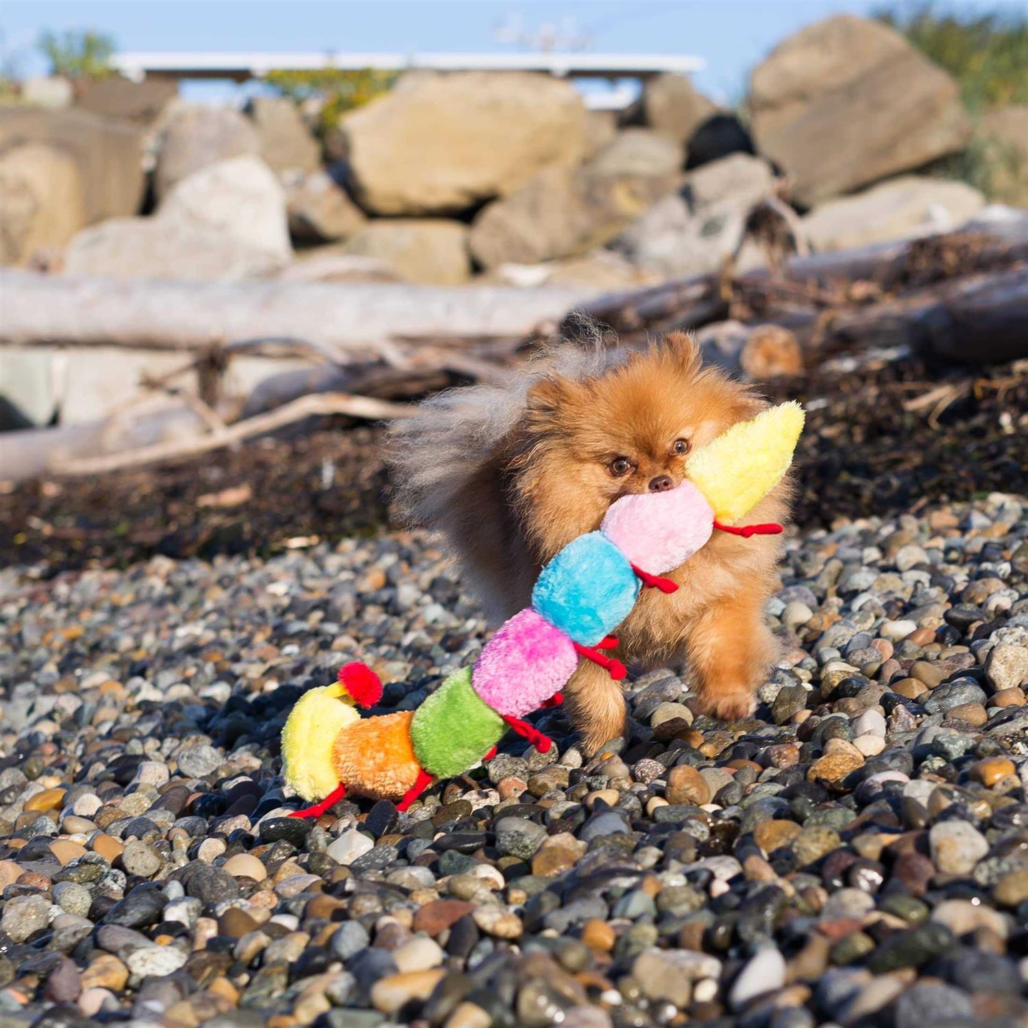 Alternative view of ZippyPaws Caterpillar Dog Toy