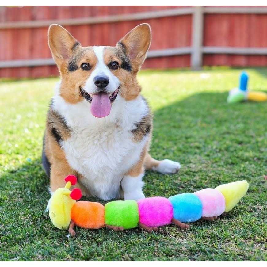 Alternative view of ZippyPaws Caterpillar Dog Toy