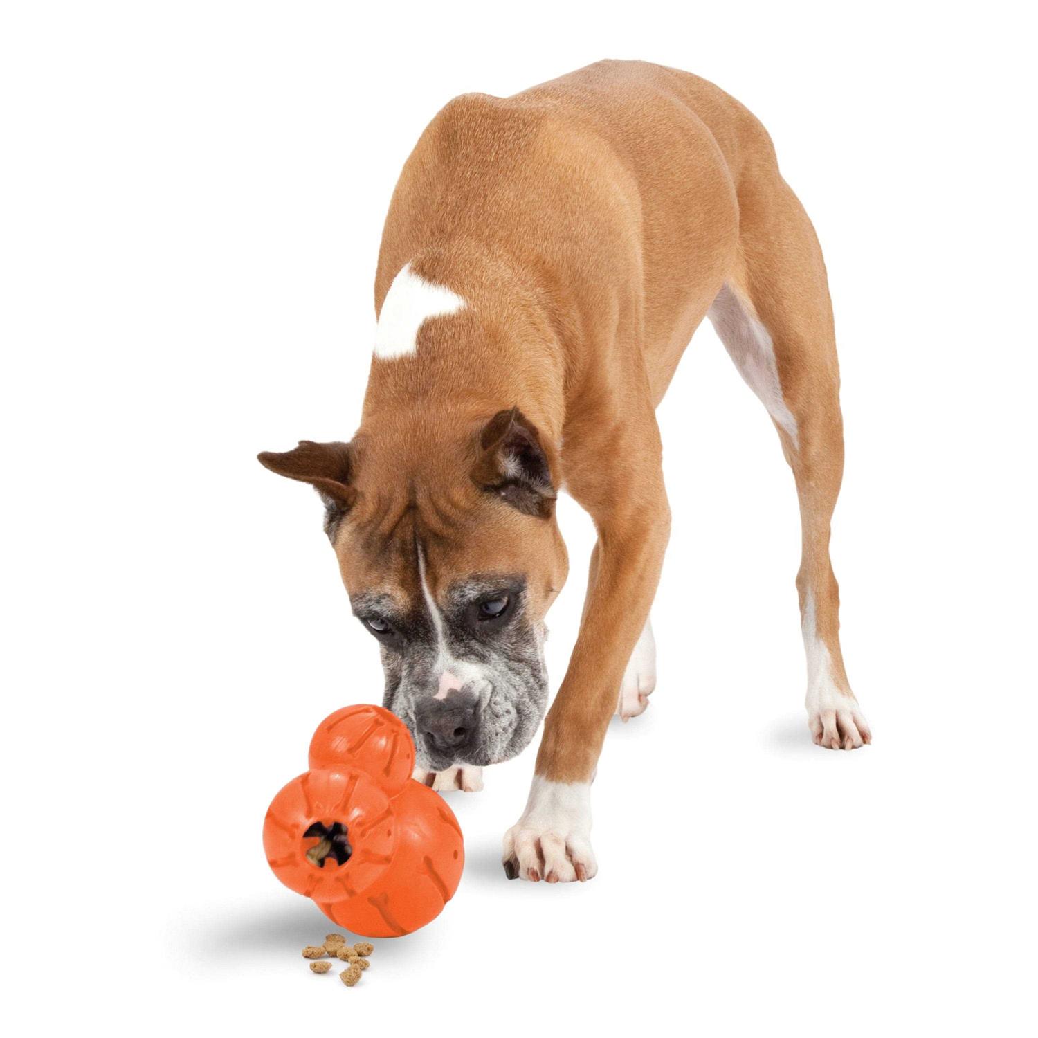 PetSafe Sportsmen Barnacle