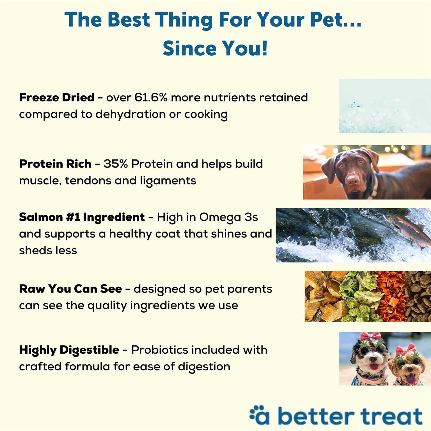Alternative view of A Better Dog Food Salmon Raw You Can See