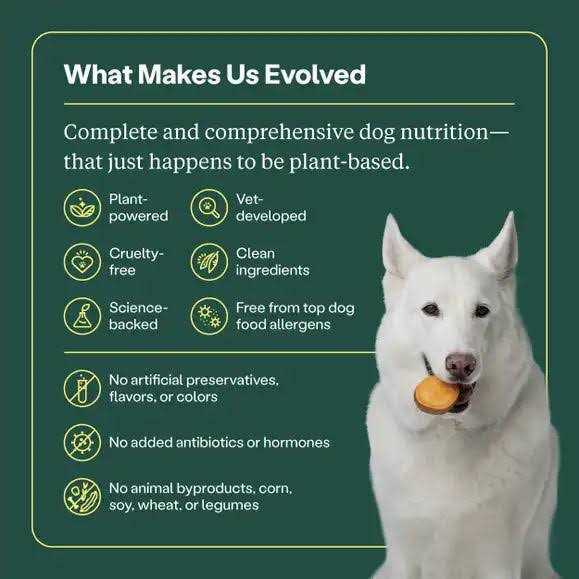 Alternative view of Wild Earth Classic Roast Flavor Maintenance Formula Dry Dog Food