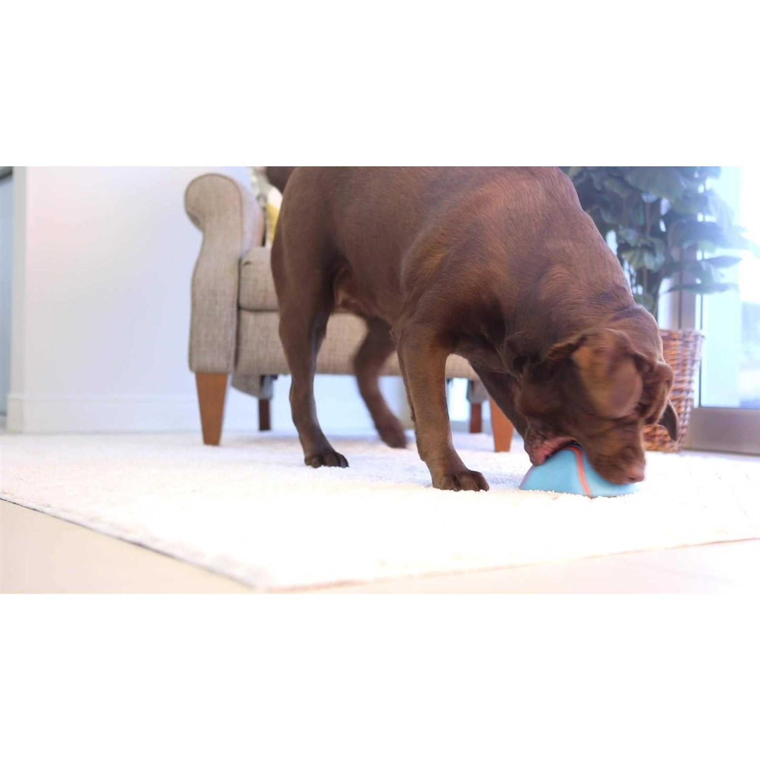 Alternative view of Chuckit! Indoor Super Slider Dog Toy