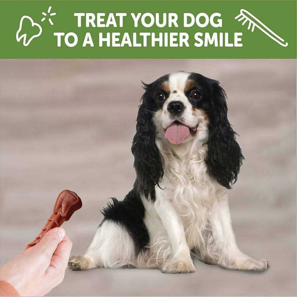 Alternative view of Whimzees Brushzees Dental Treats