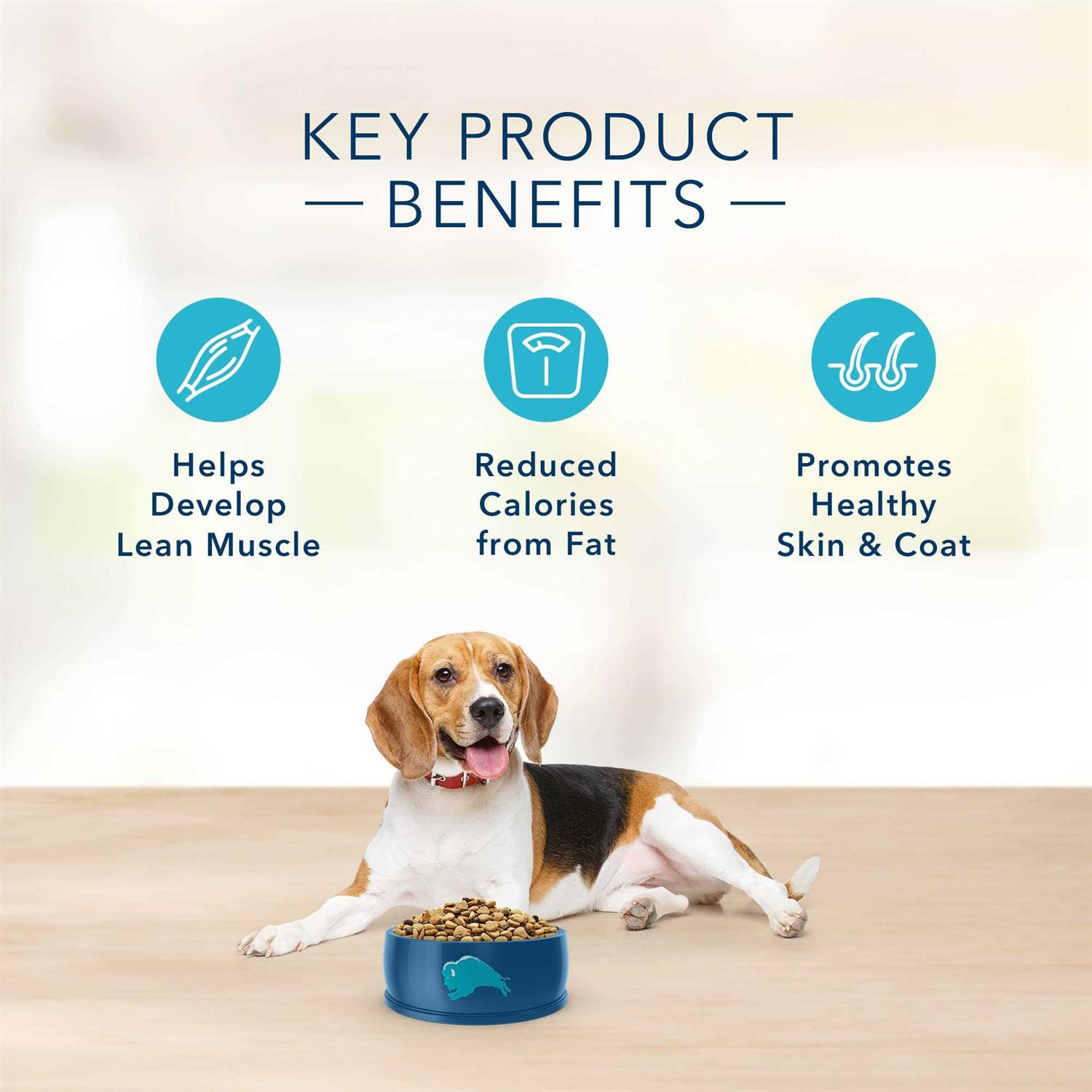 Alternative view of Blue Buffalo Basics Healthy Weight Turkey & Potato Dry Dog Food