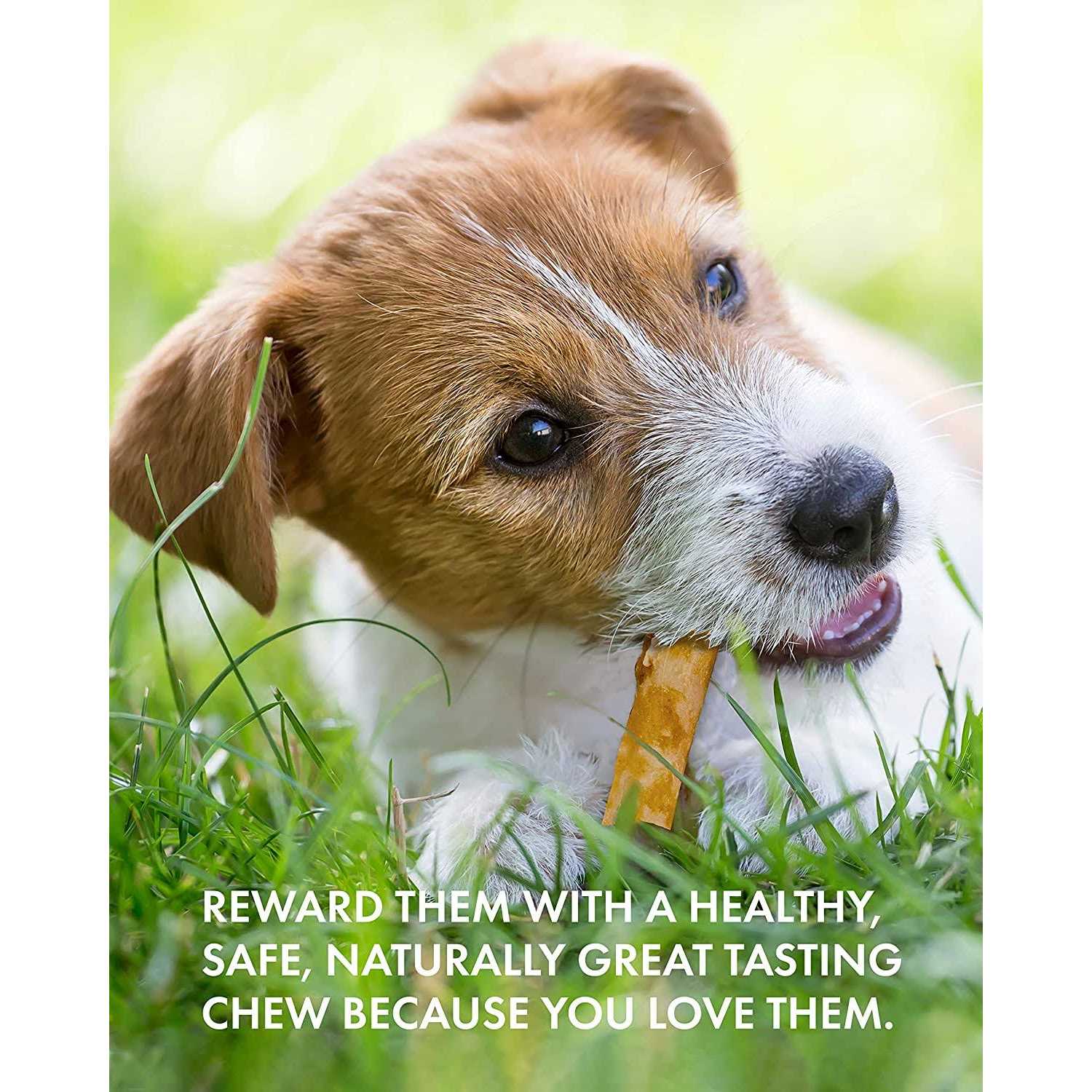 Alternative view of Canine Naturals Hide Free Chicken Recipe Stick Dog Chew