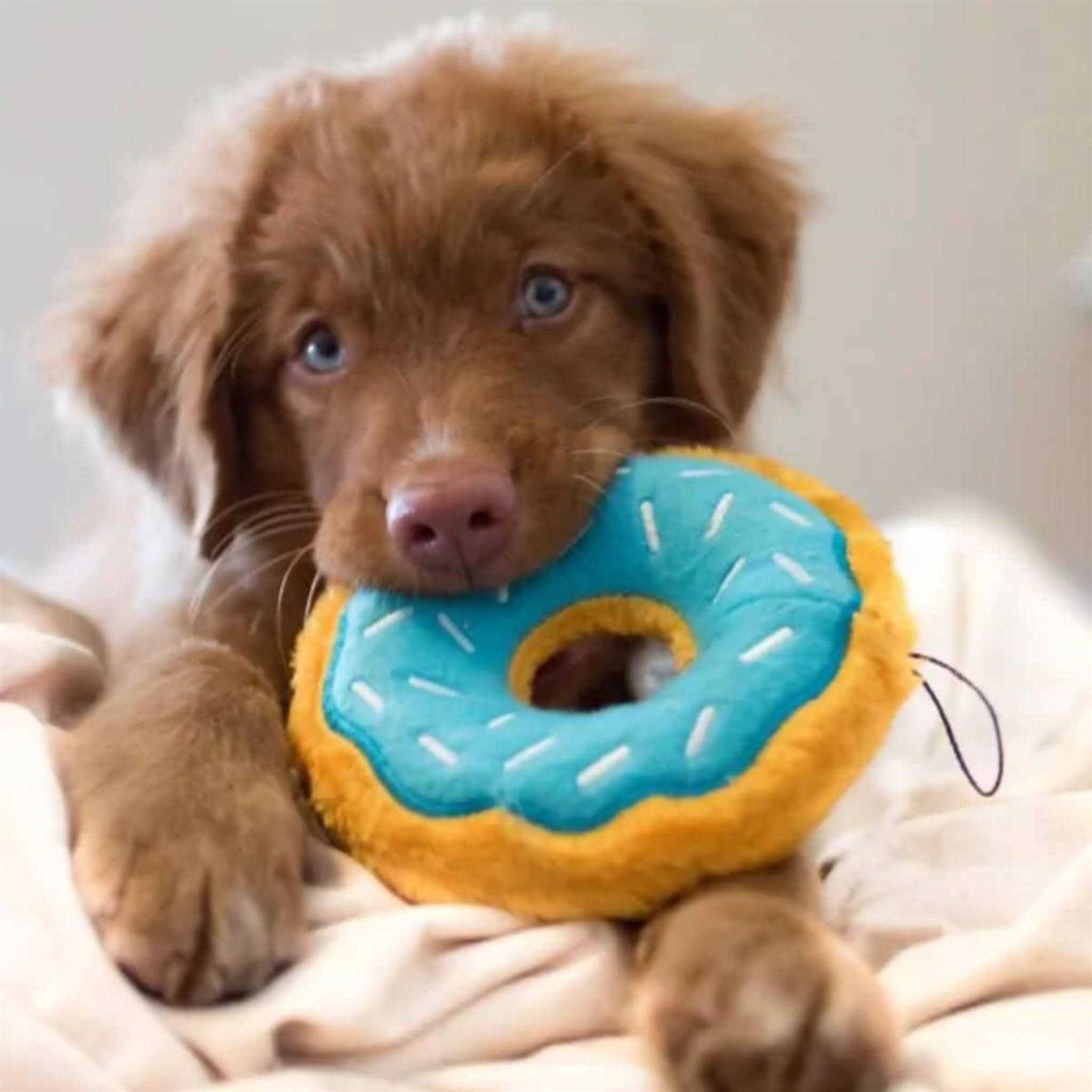 Alternative view of ZippyPaws Donutz Dog Toy
