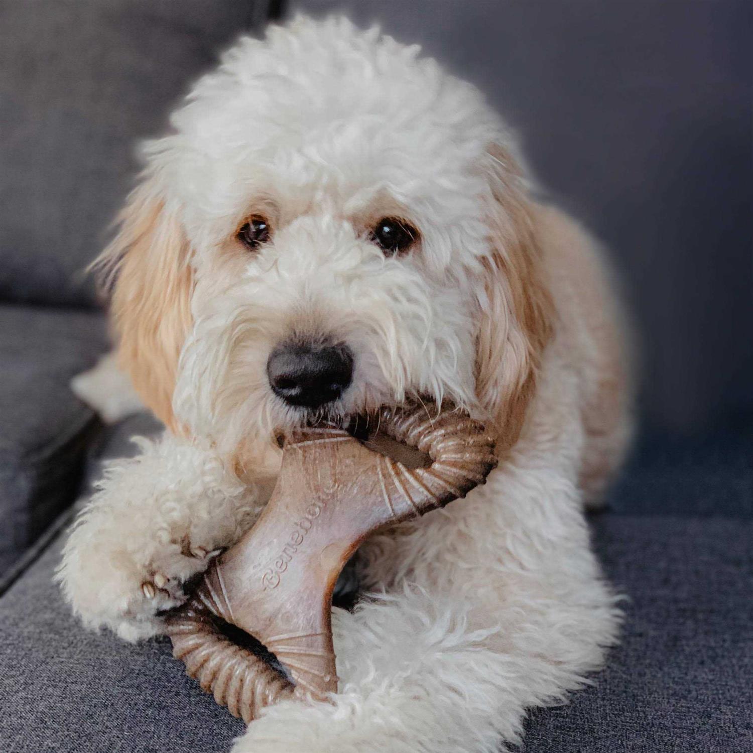 Alternative view of Benebone Dental Chew Dog Toy